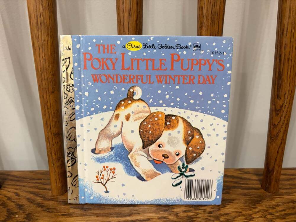 The Poky Little Puppy's Wonderful Winter Day A First Little Golden Book